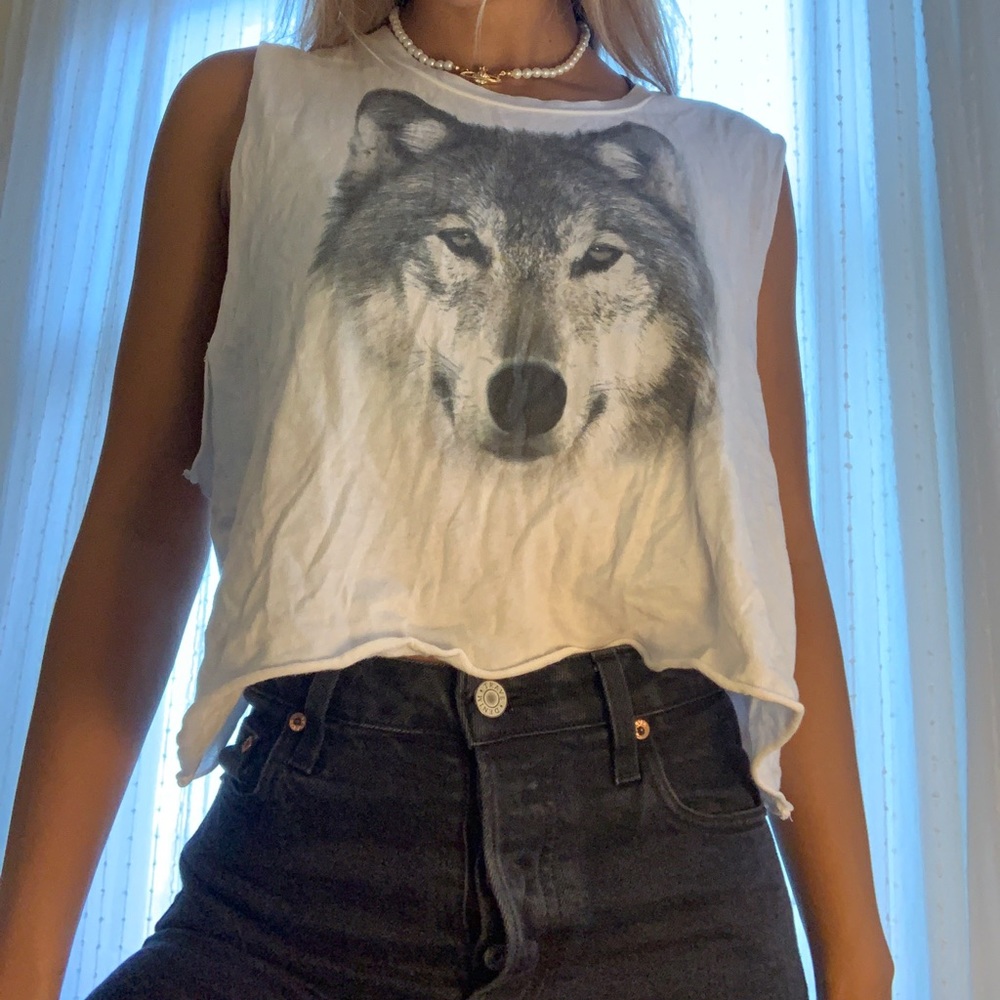 Wildfox crop t-shirt